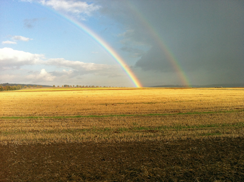 Regenbogen 002.jpg