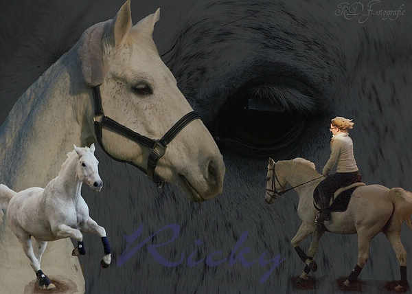 comp_comp_Collage Ricky 1.jpg