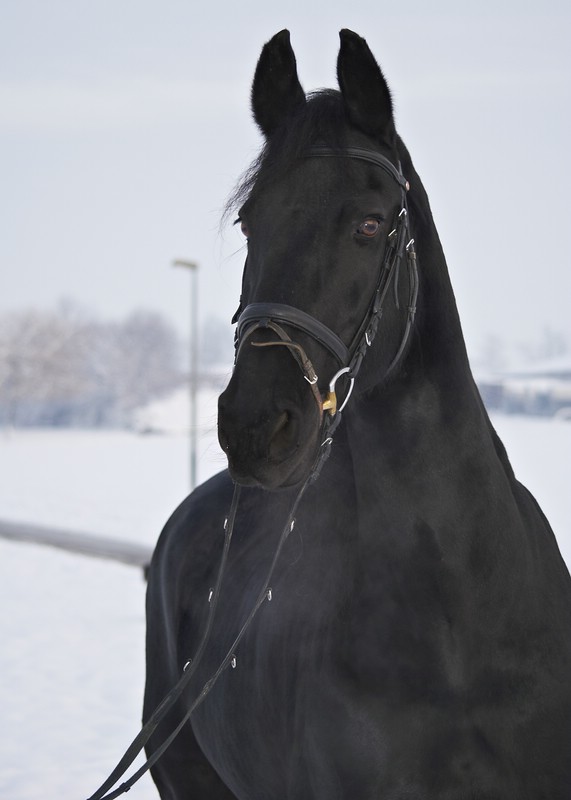comp_DSC_5873.jpg